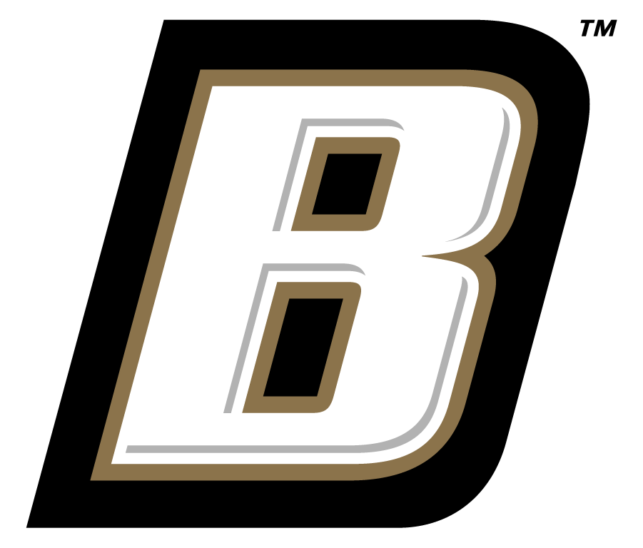 Bryant Bulldogs 2004-Pres Secondary Logo t shirts iron on transfers